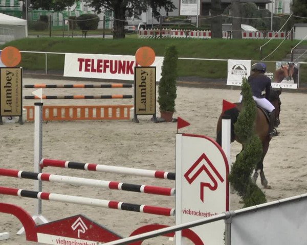 Reitturnier Durmersheim-Hardt 2017