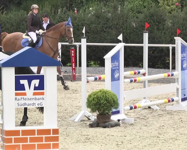 Reitturnier Durmersheim-Hardt 2017