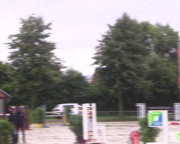 Reitturnier Appelhülsen 2017