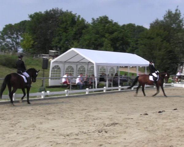 Reitturnier Bühren-Breckerfeld 2017
