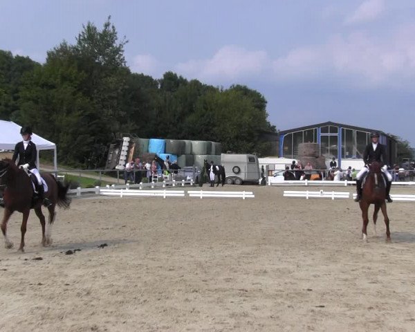 Reitturnier Bühren-Breckerfeld 2017