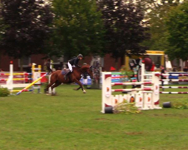 Reitturnier Münchehofe 2017