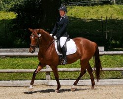 broodmare Deleyla 3 (Württemberger, 2011, from Don Schufro)