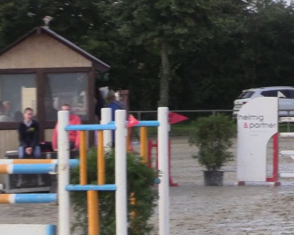 Reitturnier Appelhülsen 2017