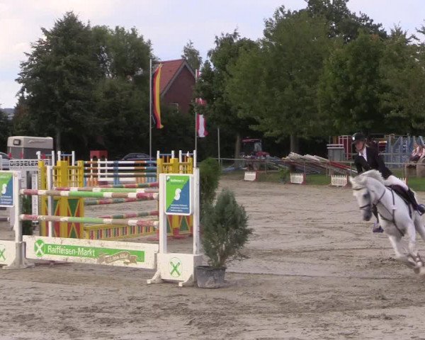 Reitturnier Appelhülsen 2017