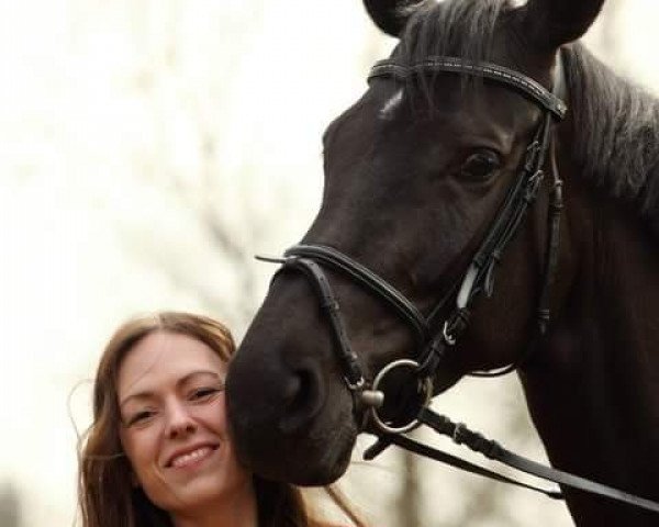 broodmare Mona Lisa's Mystery (Rhinelander, 2004, from Montmartre)