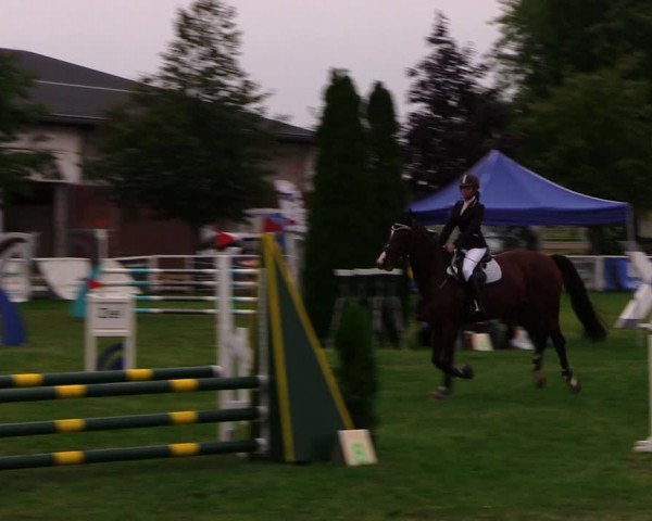 Reitturnier Münchehofe 2017