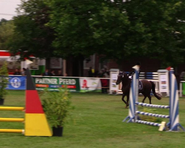 Reitturnier Münchehofe 2017