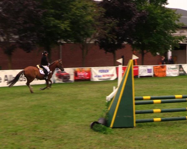 Reitturnier Münchehofe 2017