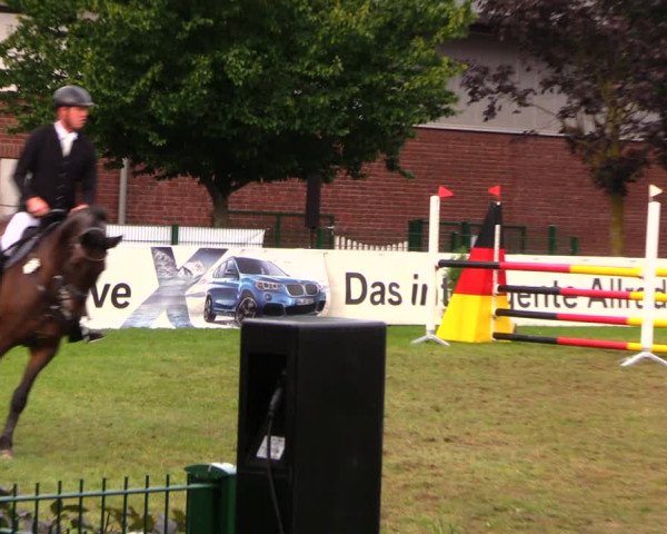 Reitturnier Münchehofe 2017