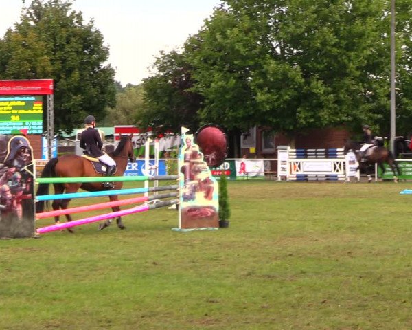 Reitturnier Münchehofe 2017