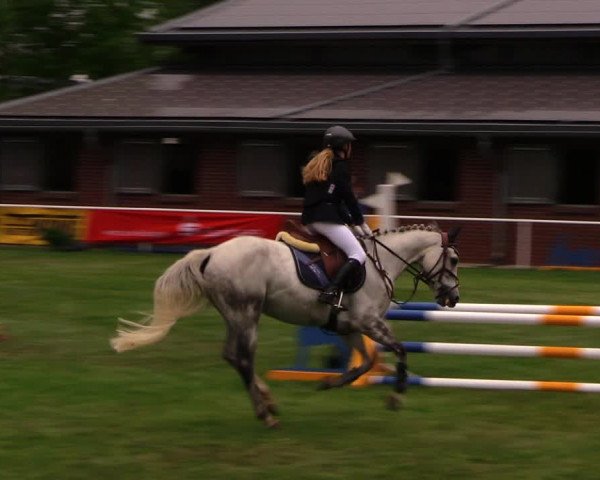 Reitturnier Münchehofe 2017