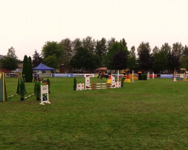 Reitturnier Münchehofe 2017
