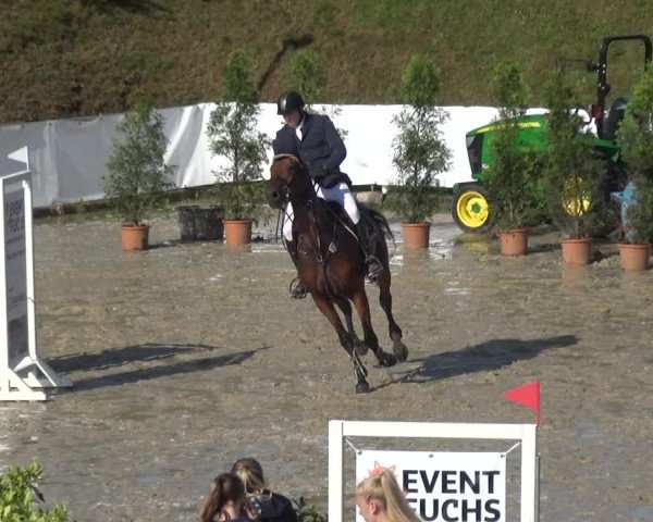 Reitturnier Leichlingen-Witzhelden 2017