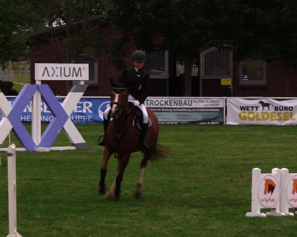 Reitturnier Münchehofe 2017