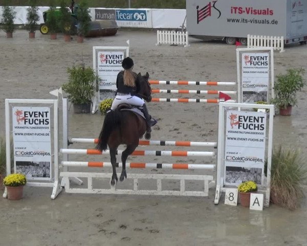Reitturnier Leichlingen-Witzhelden 2017