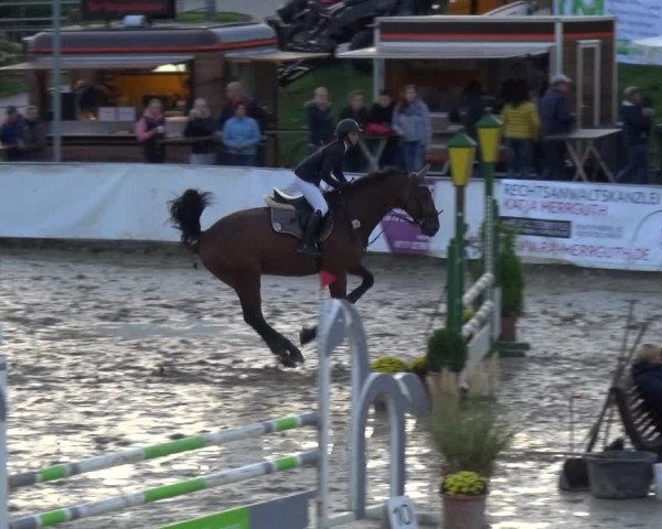 Reitturnier Leichlingen-Witzhelden 2017