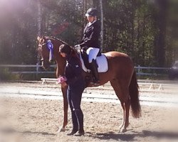 dressage horse Belinda 211 (Hanoverian, 2013, from Belissimo NRW)