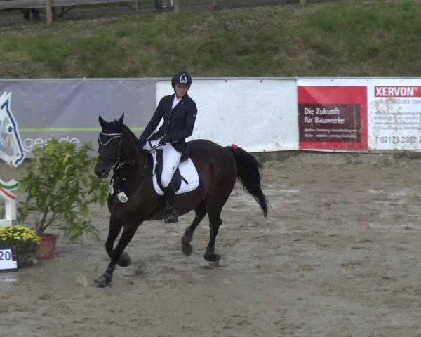 Reitturnier Leichlingen-Witzhelden 2017