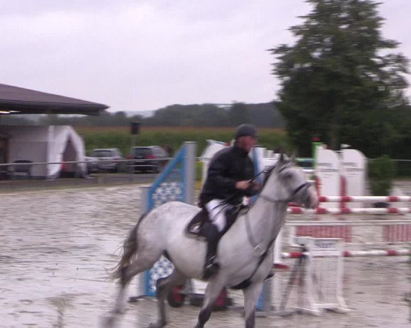 Reitturnier Appelhülsen 2017