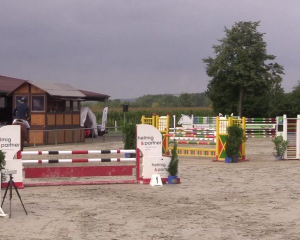 Reitturnier Appelhülsen 2017