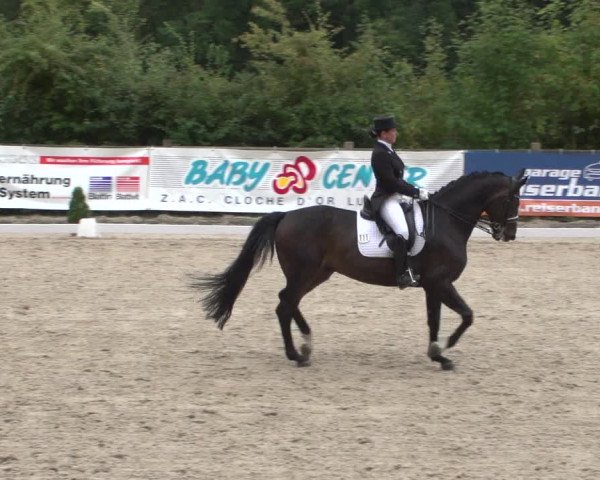 Reitturnier Hünsdorf-Ecurie Josy Hoffmann 2017
