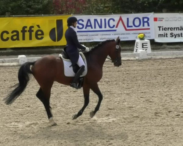 Reitturnier Hünsdorf-Ecurie Josy Hoffmann 2017