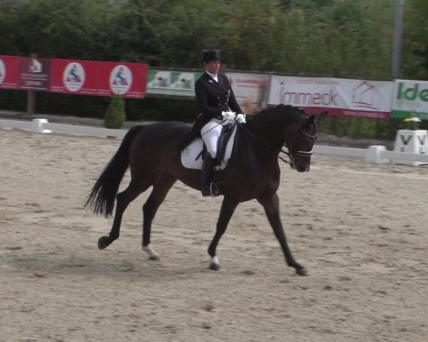 Reitturnier Hünsdorf-Ecurie Josy Hoffmann 2017