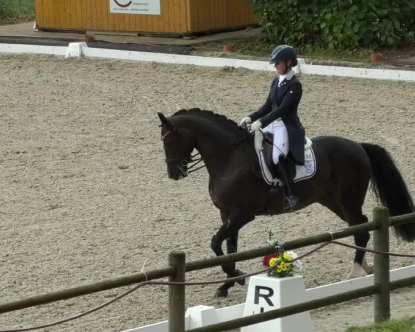 Reitturnier Hünsdorf-Ecurie Josy Hoffmann 2017