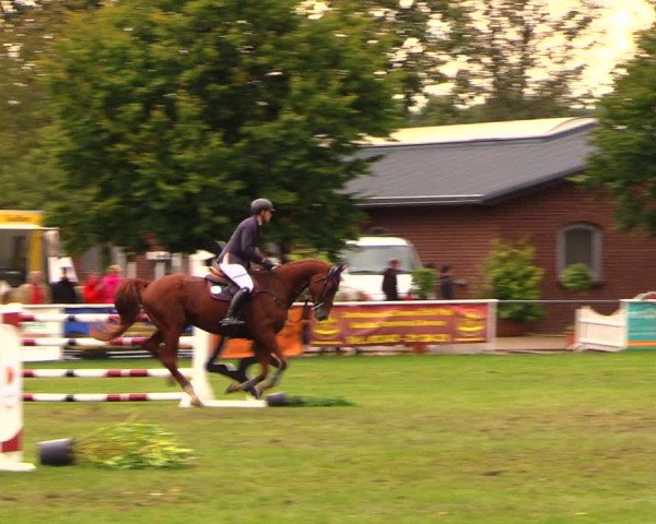 Reitturnier Münchehofe 2017