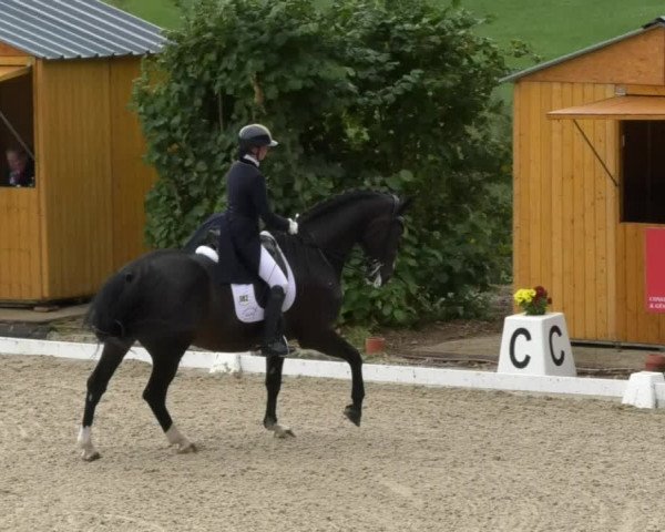 Reitturnier Hünsdorf-Ecurie Josy Hoffmann 2017