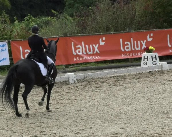 Reitturnier Hünsdorf-Ecurie Josy Hoffmann 2017