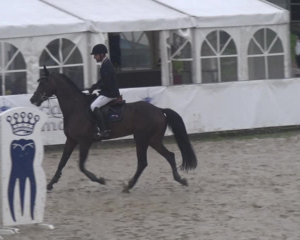 Reitturnier Leichlingen-Witzhelden 2017