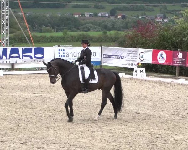 Reitturnier Hünsdorf-Ecurie Josy Hoffmann 2017