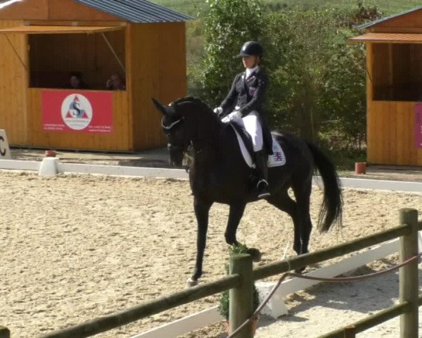 Reitturnier Hünsdorf-Ecurie Josy Hoffmann 2017