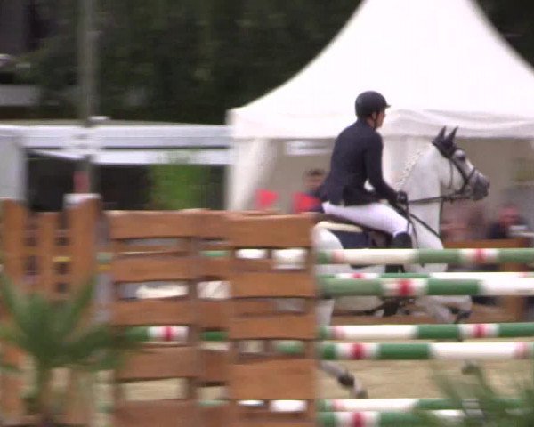 Reitturnier Köln - Reitanlage Brüse 2017