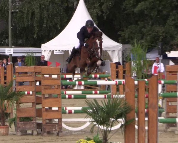 Reitturnier Köln - Reitanlage Brüse 2017