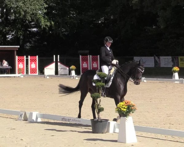 Reitturnier Meinerzhagen 2017