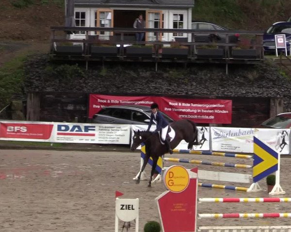 Reitturnier Siegen 2017