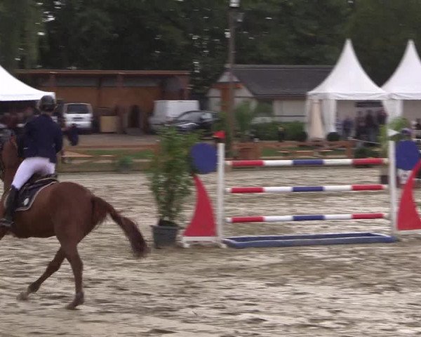 Reitturnier Köln - Reitanlage Brüse 2017