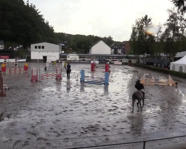 Reitturnier Siegen 2017