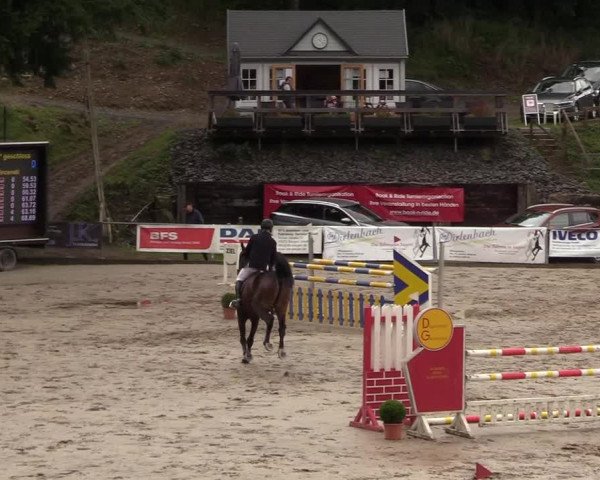 Reitturnier Siegen 2017