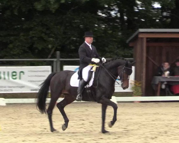 Reitturnier Meinerzhagen 2017