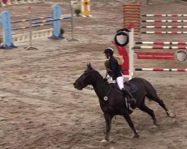Reitturnier Siegen 2017