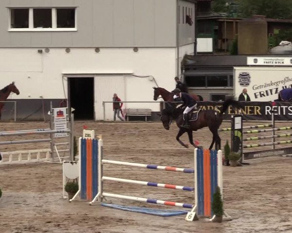 Reitturnier Siegen 2017