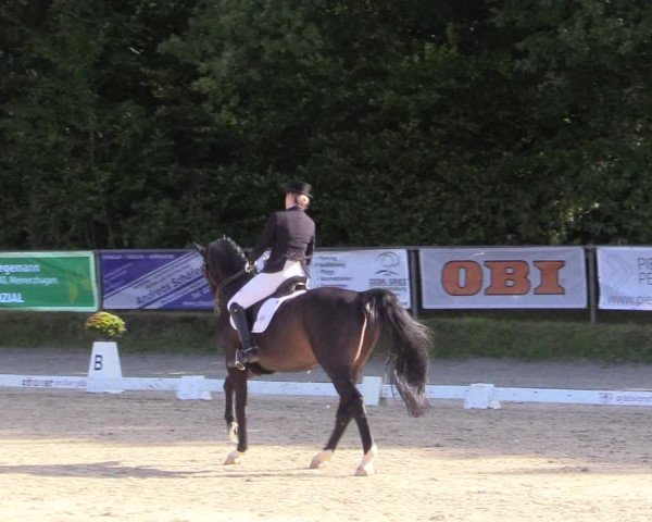 Reitturnier Meinerzhagen 2017