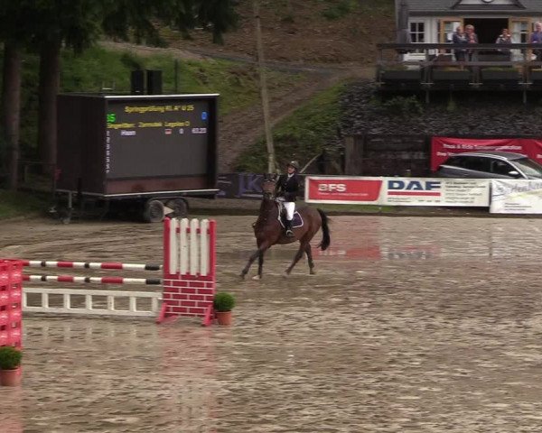 Reitturnier Siegen 2017