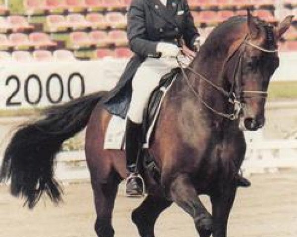 horse Bobby II (Swedish Warmblood, 1986, from Urbino)