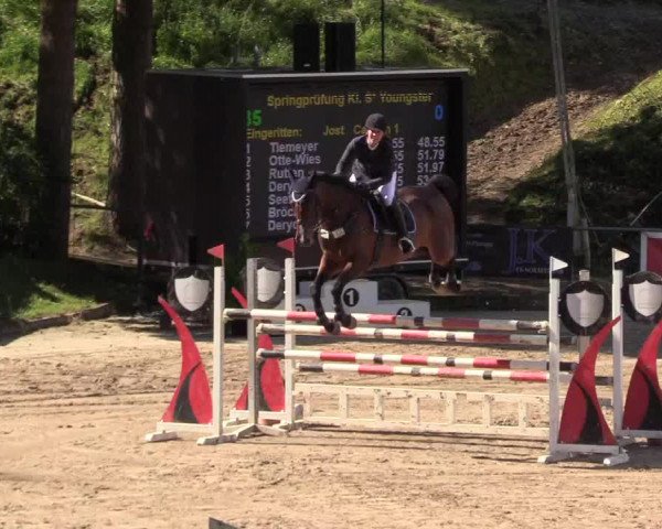 Reitturnier Siegen 2017