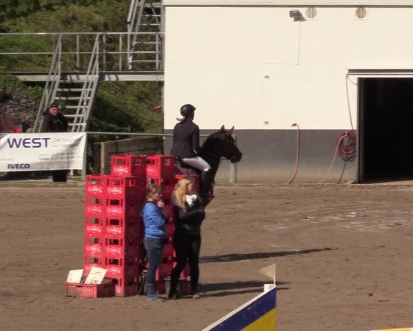 Reitturnier Siegen 2017